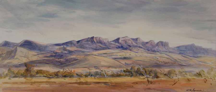 Hookina Landscape Flinders Ranges