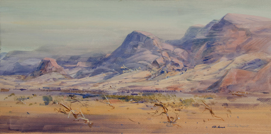 Desert and Haasts Bluff Range